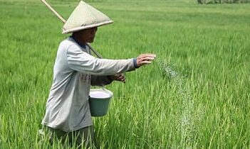 Pupuk Indonesia Dukung Pertanian Berkelanjutan di Masa Depan